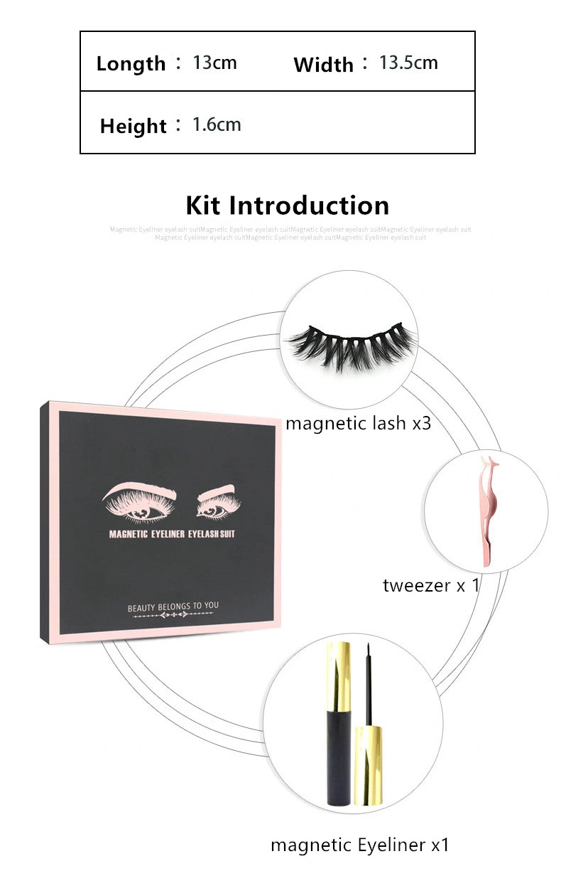 Wholesale OEM Customized Logo No Glue Three Pairs Silk Reusable Magnetic Eyeliner Lashes